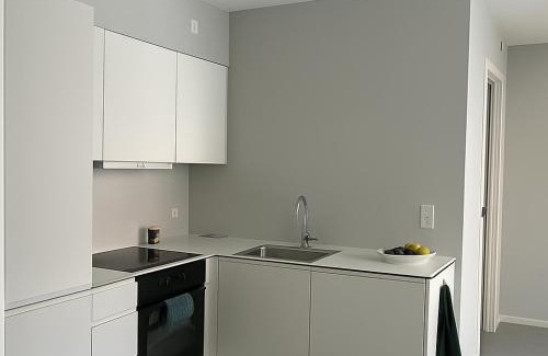 Odense Apartment | Talle-Central Apartment Odense C