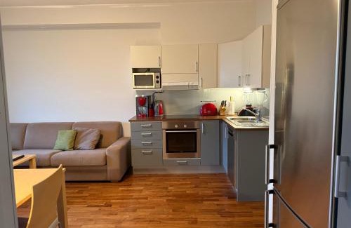 Vaaksy Apartment | Tallukantie Sauna-apartamentti