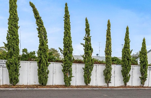 South Tamworth Hotel | Tamworth Lodge Motel