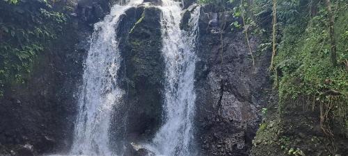 Tanna Island Bed & Breakfast | Tanna Chez Nous Bungalow and Tours