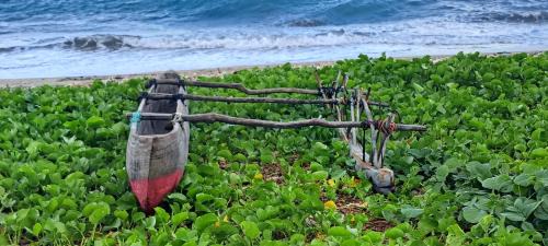 Tanna Island Bed & Breakfast | Tanna Chez Nous Bungalow and Tours