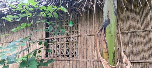 Tanna Island Bed & Breakfast | Tanna Chez Nous Bungalow and Tours