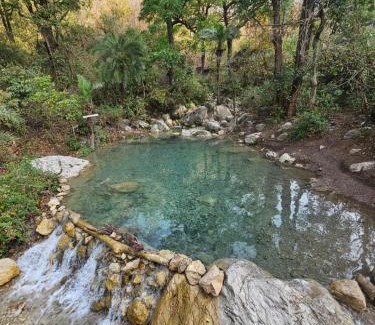 Tapovan Hotel | Tapovan Cascades Yogvillage Stay