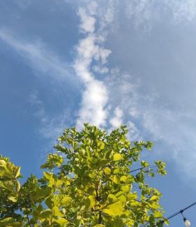 Sam Phran Resort | Tara Terrace Resort ธารา เทอร์เรซ รีสอร์ท
