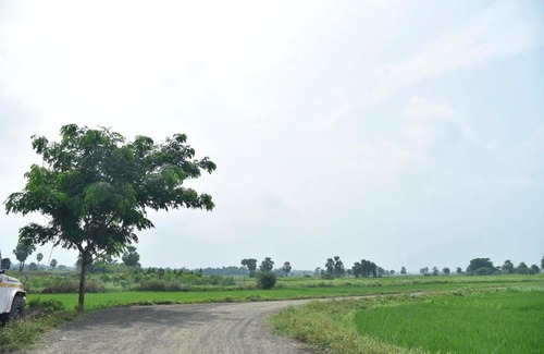 Rampur Hat Hotel | Tarapith Tapabon Eco Resort