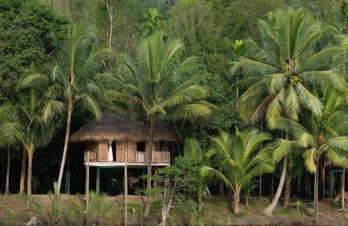 Tatai Other | Tatai Camping Lodges