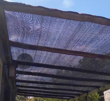 San Luis House | Te con Limon