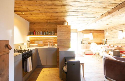Lantsch-Lenz Ski Chalet | Tech-Free Haven Tschividains Lenzerheide