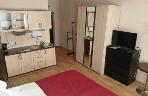 Pelgulinn Apartment | Telliskivi Apartment
