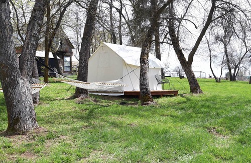Harvard RV Rental | Tent Platform 3 | Pond View Glamping Tent