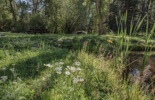 Tererro RV Rental | Tent & RV Camping Sites on Pecos River. NOT A CABIN