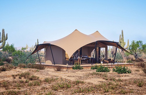Marana House | Tent Saguaro