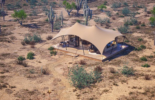 Marana House | Tent Saguaro