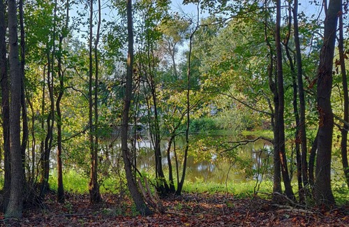 Mamers RV Rental | Tentrr Signature Site - Meadow Escape at CATHIS Farm