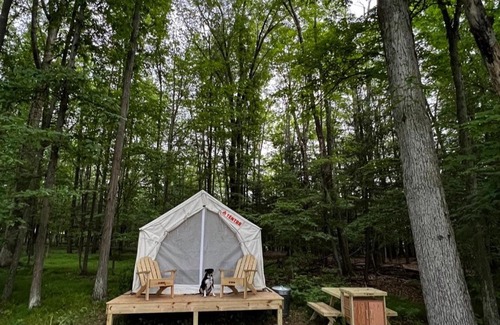 Ithaca Other | Tentrr Signature Site - Orchard and Gorge Tent at South Hill Cider - Site 1