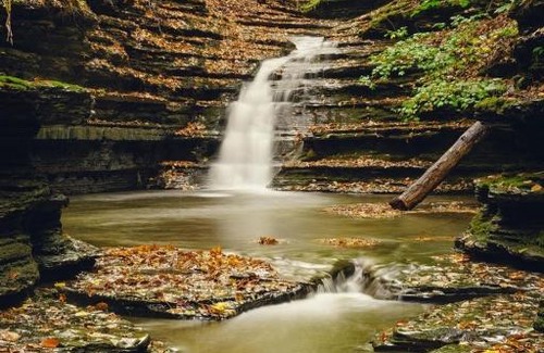 Ithaca Other | Tentrr Signature Site - Orchard and Gorge Tent at South Hill Cider - Site 1