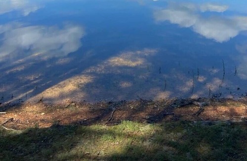 Pulaski RV Rental | Tentrr Signature Site - Water's Edge Campsite on Sunset Cove