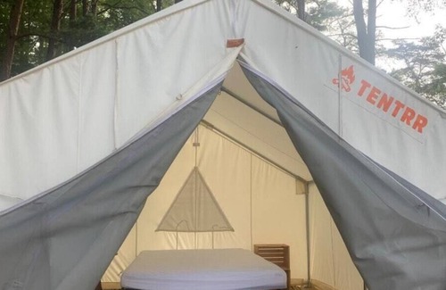 Pulaski RV Rental | Tentrr Signature Site - Water's Edge Campsite on Sunset Cove