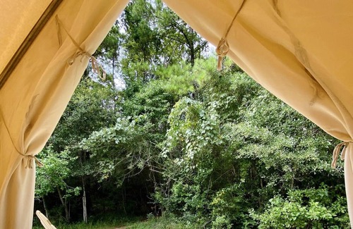 Talisheek RV Rental | Tentrr State Park Site - Louisiana Bogue Chitto State Park - Bike Trail L - Sing