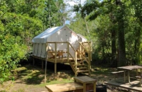 Springfield RV Rental | Tentrr State Park Site - Louisiana Tickfaw State Park - Woodland H - Single Camp