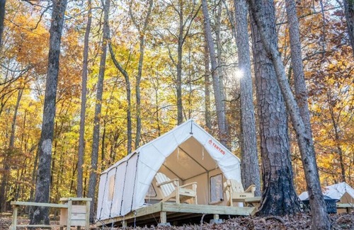 Dennis RV Rental | Tentrr State Park Site - Mississippi Tishomingo State Park - Haynes Lake South E