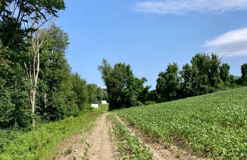 Copake Falls Other | Tentrr State Park Site - Taconic State Park High Valley Rd Site D