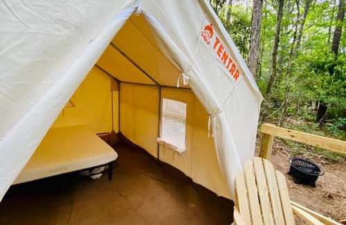 Talisheek Other | Tentrr State Park Site - Louisiana Bogue Chitto State Park - Bonner Creek M - Single Camp