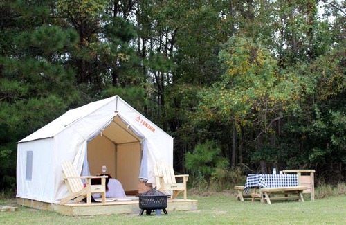 Mandeville Other | Tentrr State Park Site - Fontainebleau State Park Site C