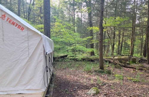 Swanton RV Rental | Tentrr State Park Site - Big Run State Park - Site C