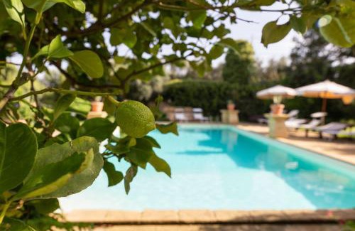 Mockarta Apartment | Tenuta Donna Vittoria - Piccola