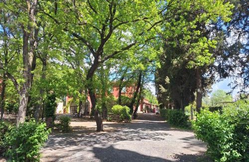 Rosignano Marittimo Villa | Tenuta la Valle Relaxing Oasis with pool in Tuascany