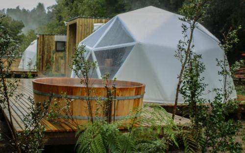 Puyehue Cabin | Termas de Aguas Calientes