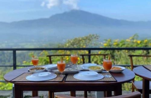 Pelmadulla Hotel | Terrace Cinnamon View