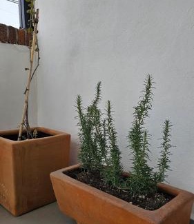Chihuahua House | Terraza y Jacuzzi con vista increíble