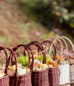 Bao Loc Cabin | THỎ NON GARDEN CLOUDY OCEAN VIEW