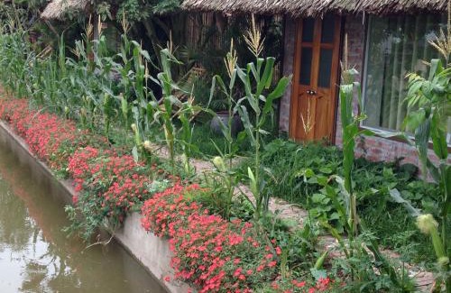 Hung Ha House | Thai Binh Garden
