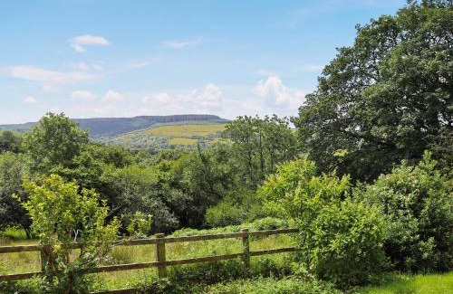 Llanybydder House | Thatched Cottage - Uk50261