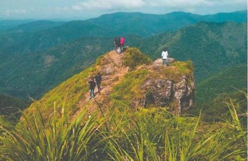 Idukki Apartment | THE ARK