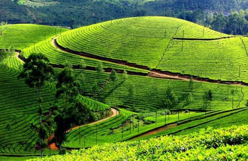 Idukki Apartment | THE ARK