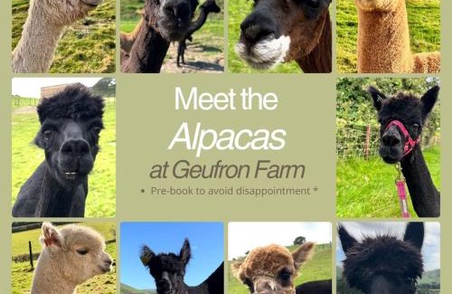 Bryn-crug House | The Barn at Geufron Farm - Dog friendly - Nr Tywyn