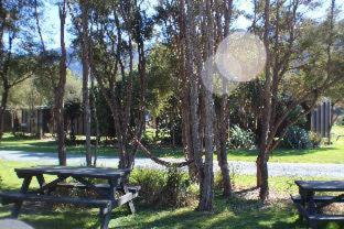 Marahau Hostel | The Barn Cabins & Camp