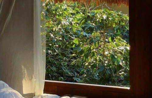 Chiang Rai Province Villa | The BC2 Doichang