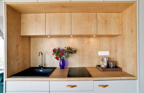 Franklin Apartment | ‘The Bear Dome’ w/Barrel Hot Tub in Franklin!