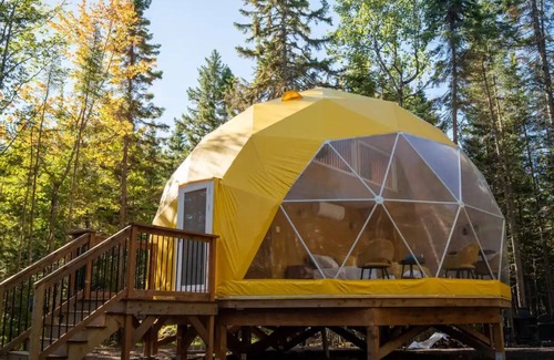 Queens County Cabin | The Bellflower