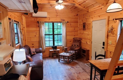Peaks Cabin | The Black Bear Lodge
