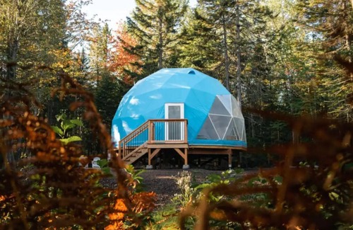 Queens County Cabin | The Blue Skies