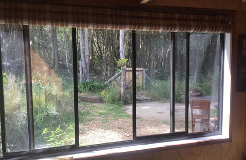 Bawley Point Cabin | The Bower- Cosy coastal cabin