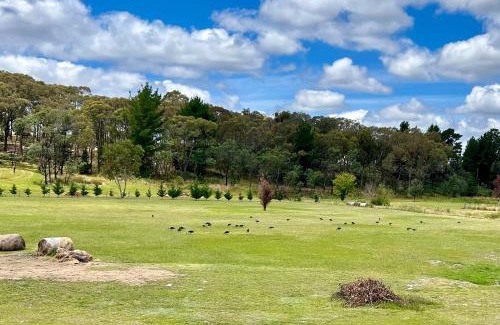 Mullion Creek House | The Bunker - Mullion Creek, NSW