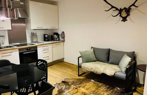 Mauterndorf Apartment | The Burg Boutique - Apartment Fuchs