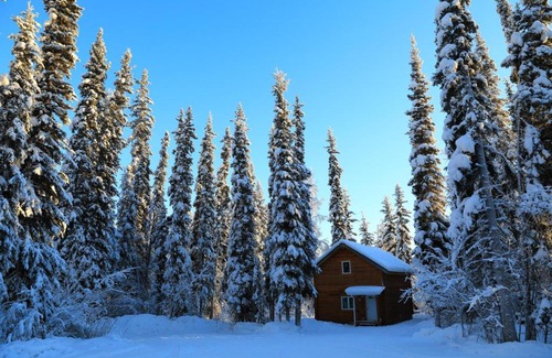 Fairbanks House | The Cabin in the Woods 3 森林小屋 3